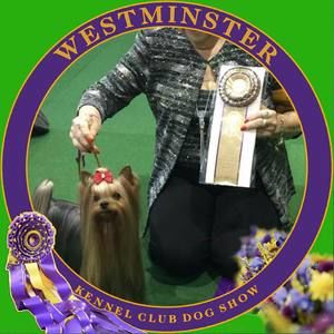 Meet your Posher, Mary